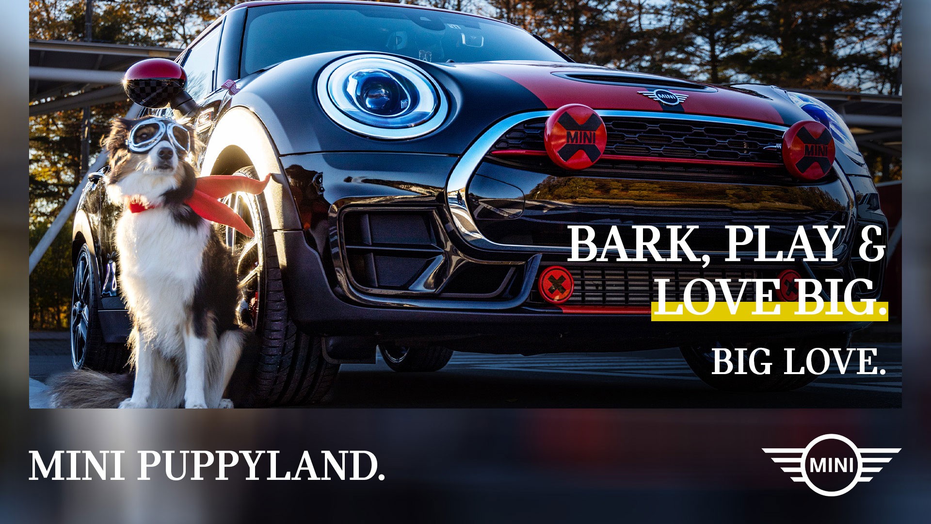 MINI PUPPYLAND.